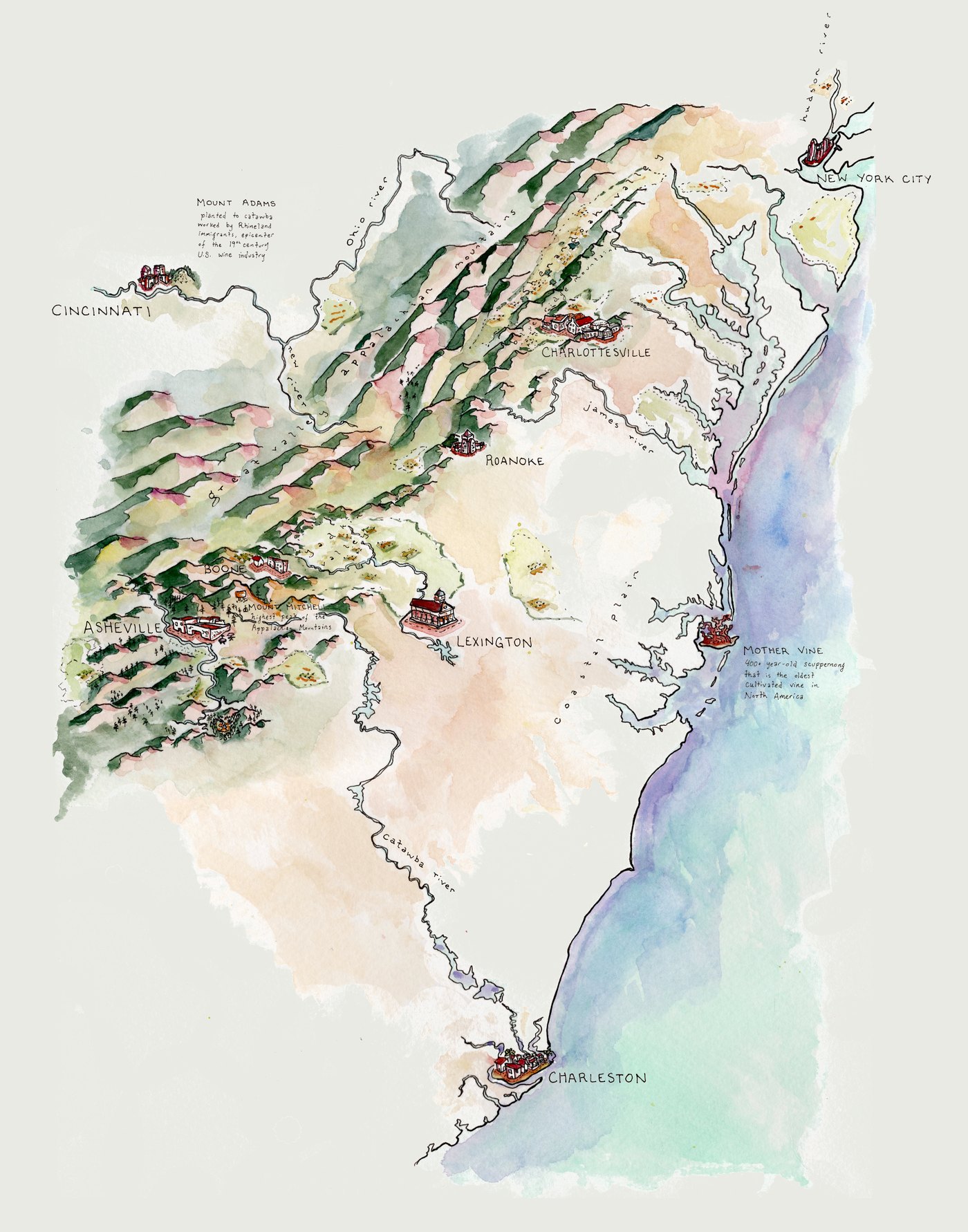 Hand-painted watercolor map of the eastern mountains and Piedmont, from Cincinnati and New York City south to Charleston. Asheville, Boone, Roanoke, Charlottesville and Lexington are marked, with notes on the Catawba plantings at Mount Adams and the Mother Vine, an old scuppernong on the coast.
